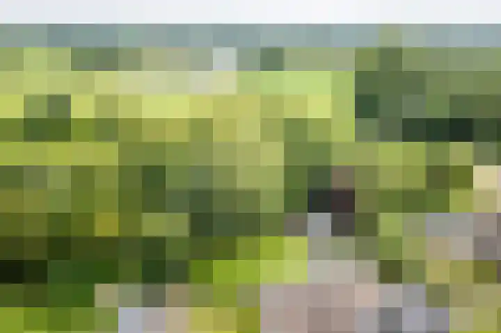 Hertenlaan 8 Silvolde thumbnail 66