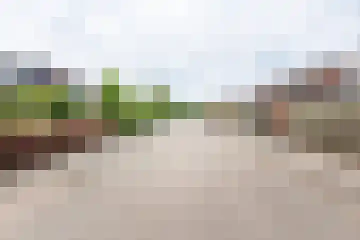 Hertenlaan 8 Silvolde thumbnail 69