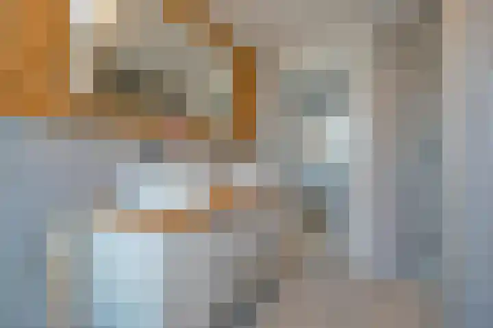 Hertenlaan 82 Assen thumbnail 22