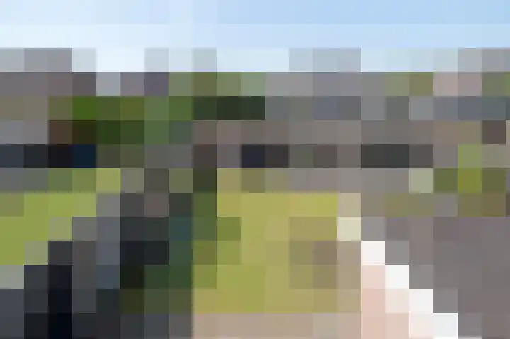 Hertenlaan 82 Assen thumbnail 38