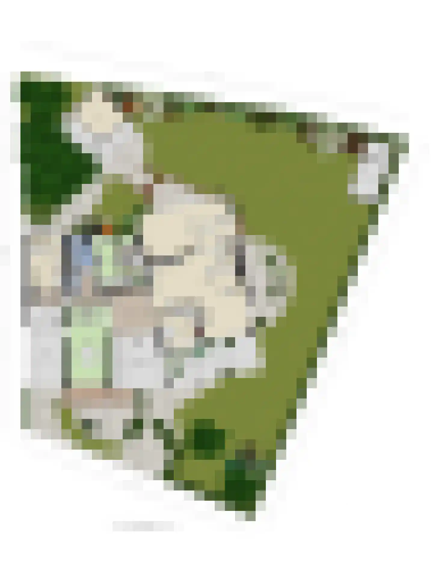Hertenlaan 9 Hoeven thumbnail 64