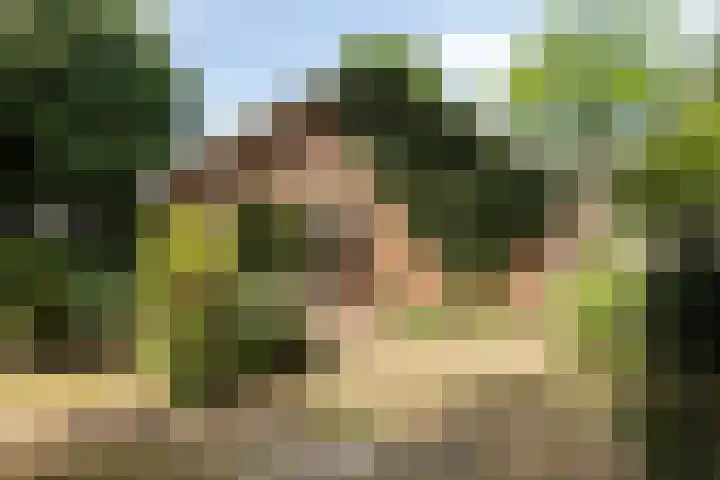Hertenlaan 9 Maarn thumbnail 33