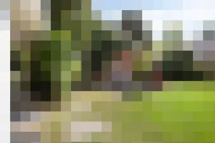 Hertenlaan 9 Maarn thumbnail 36
