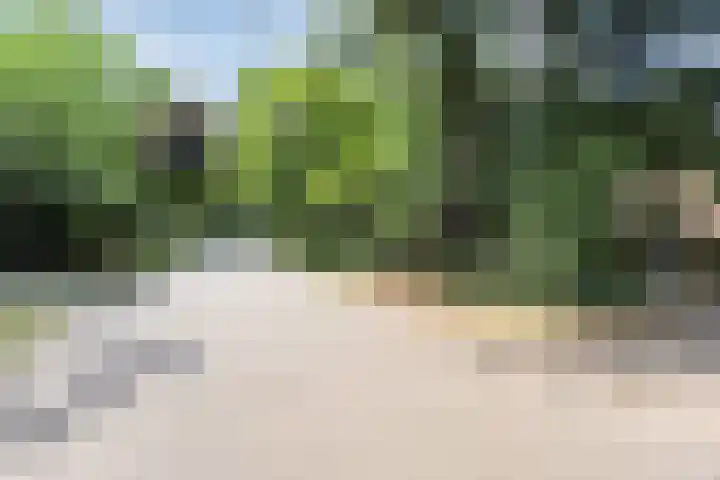 Hertenlaan 9 Maarn thumbnail 38
