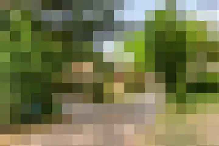 Hertenlaan 9 Maarn thumbnail 44