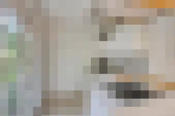 Hertenlaan 9 Maarn thumbnail 7