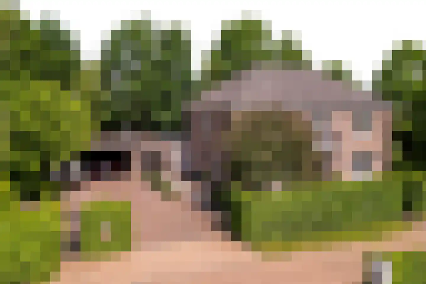 Hertenlaar 3 Bavel