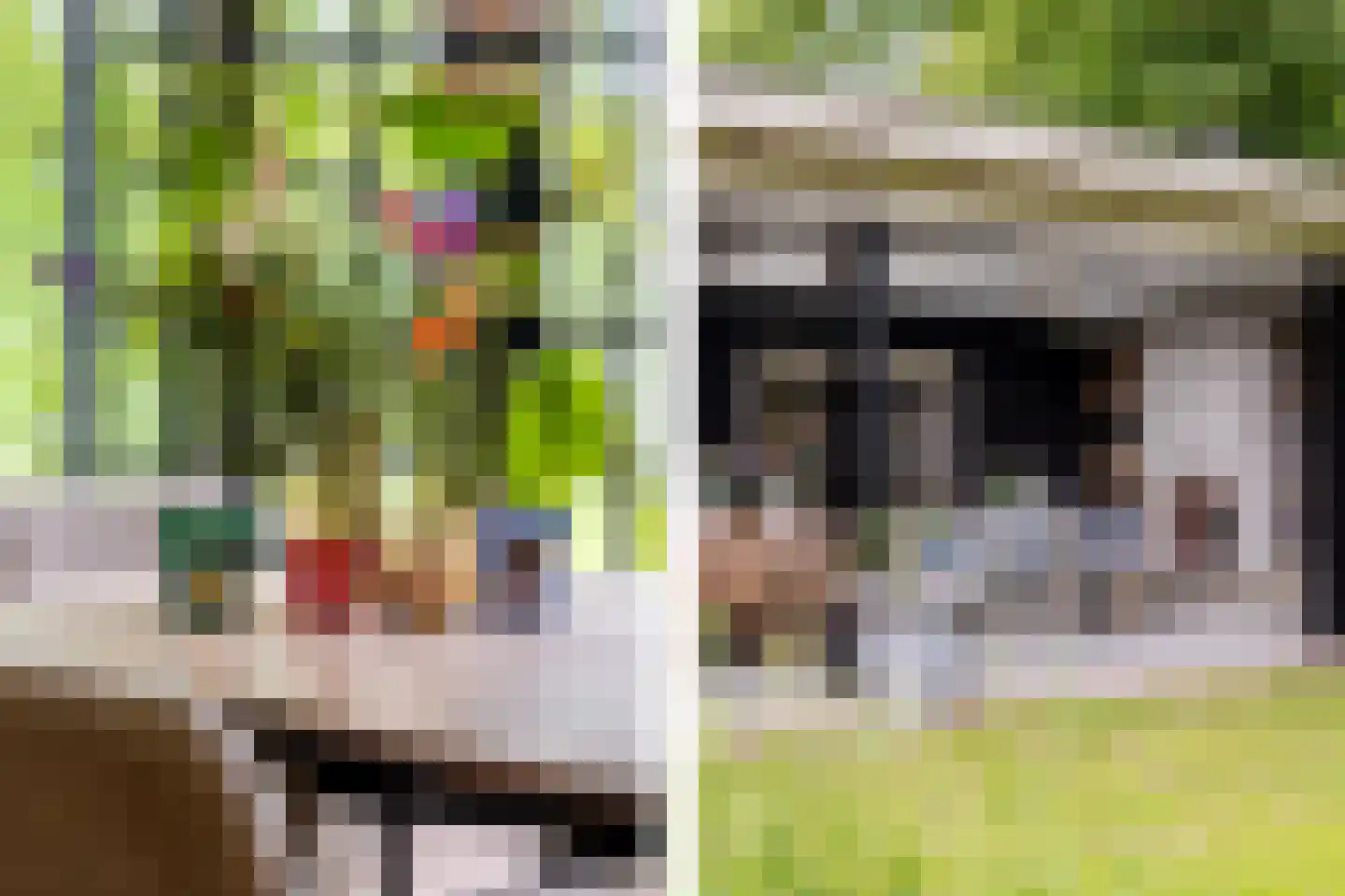 Hertenlaar 3 Bavel thumbnail 17