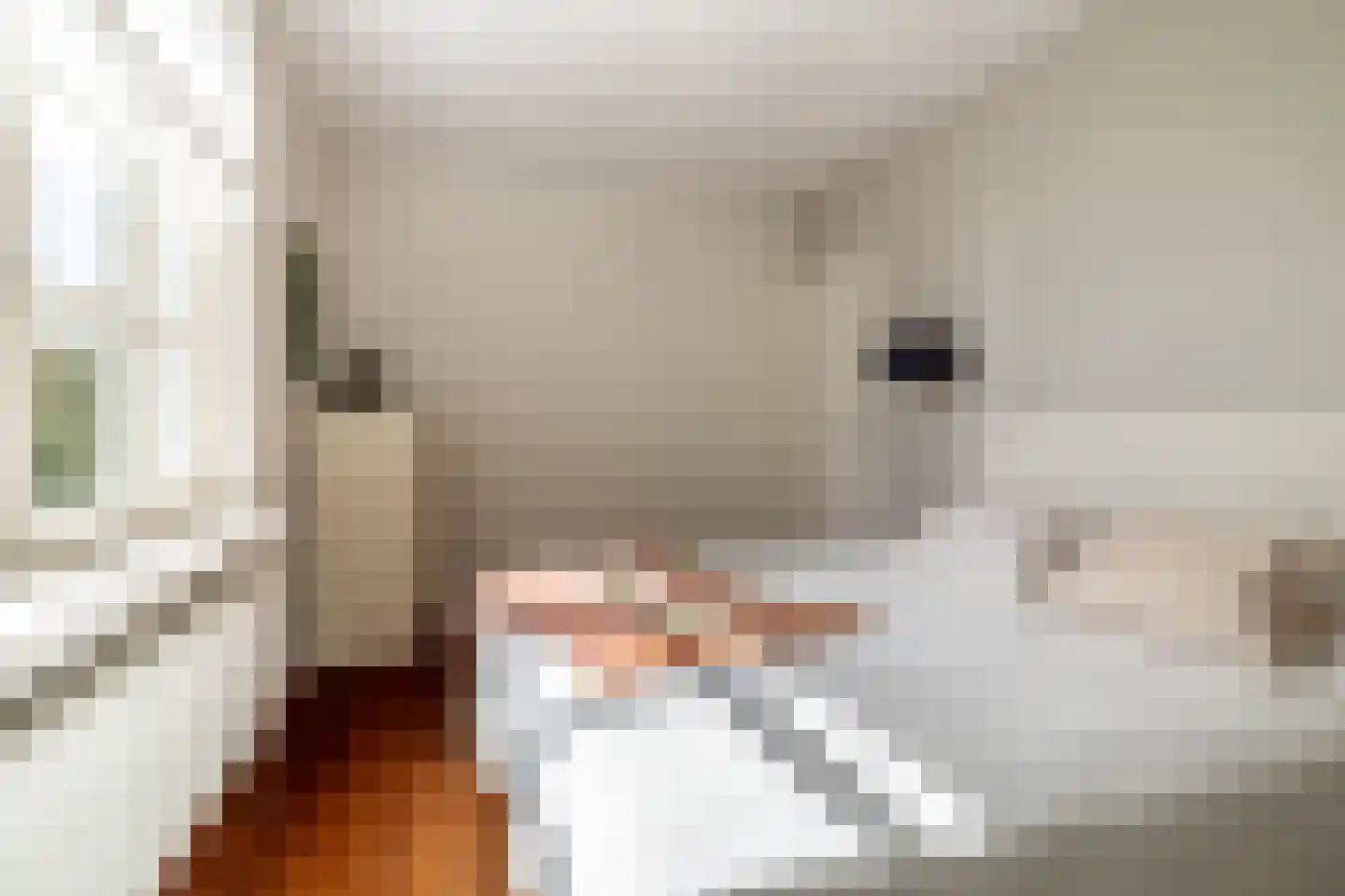 Hertenlaar 3 Bavel thumbnail 39