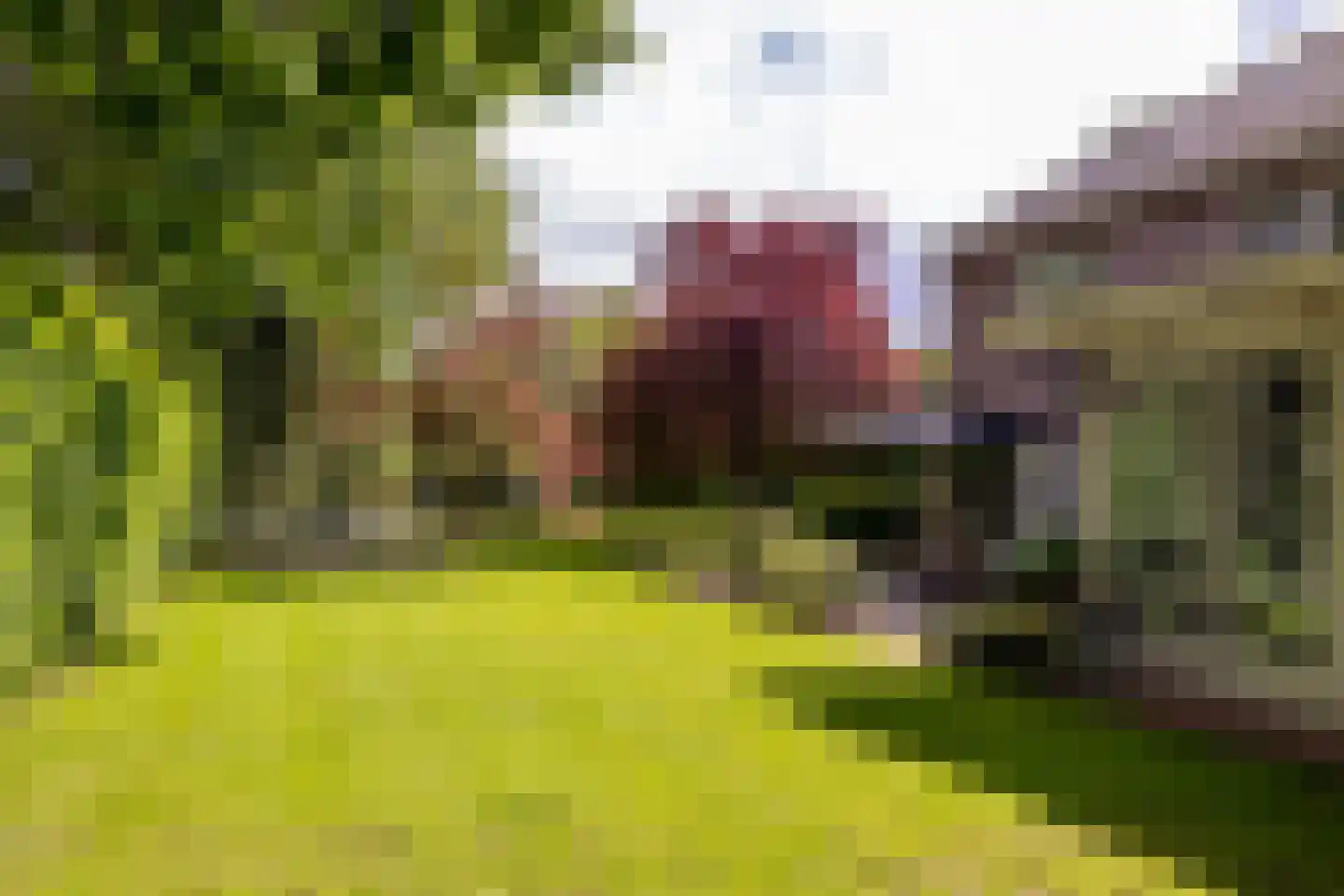 Hertenlaar 3 Bavel thumbnail 5