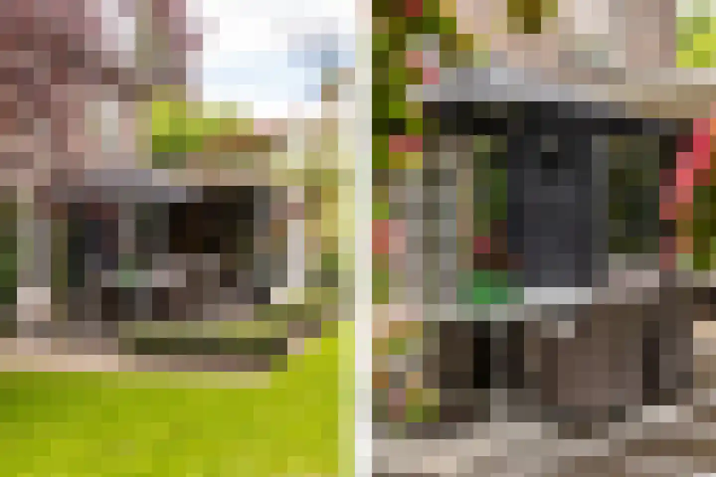 Hertenlaar 3 Bavel thumbnail 54