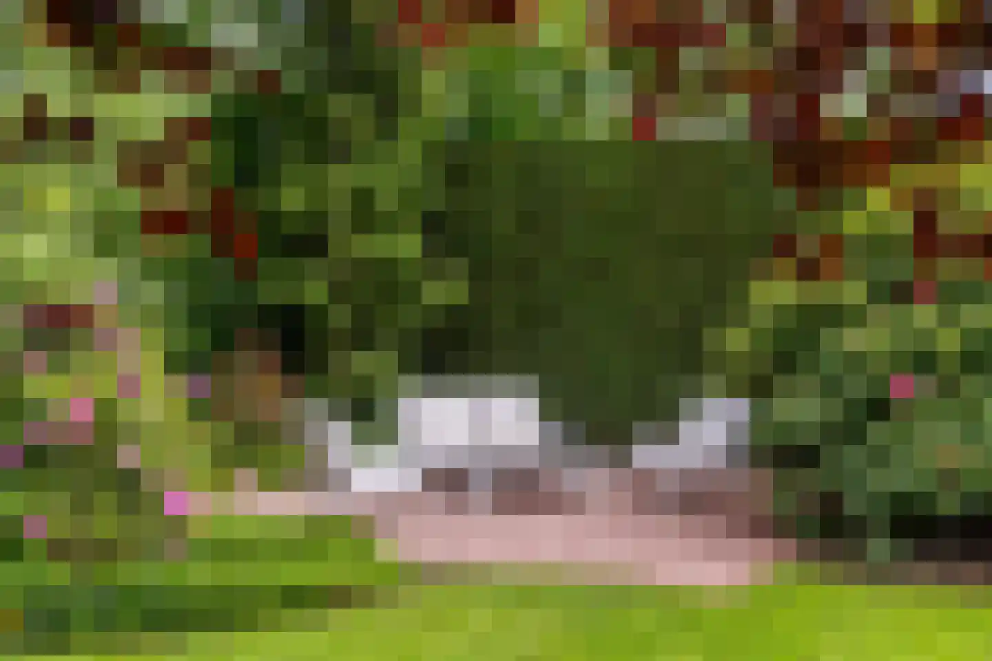 Hertenlaar 3 Bavel thumbnail 57
