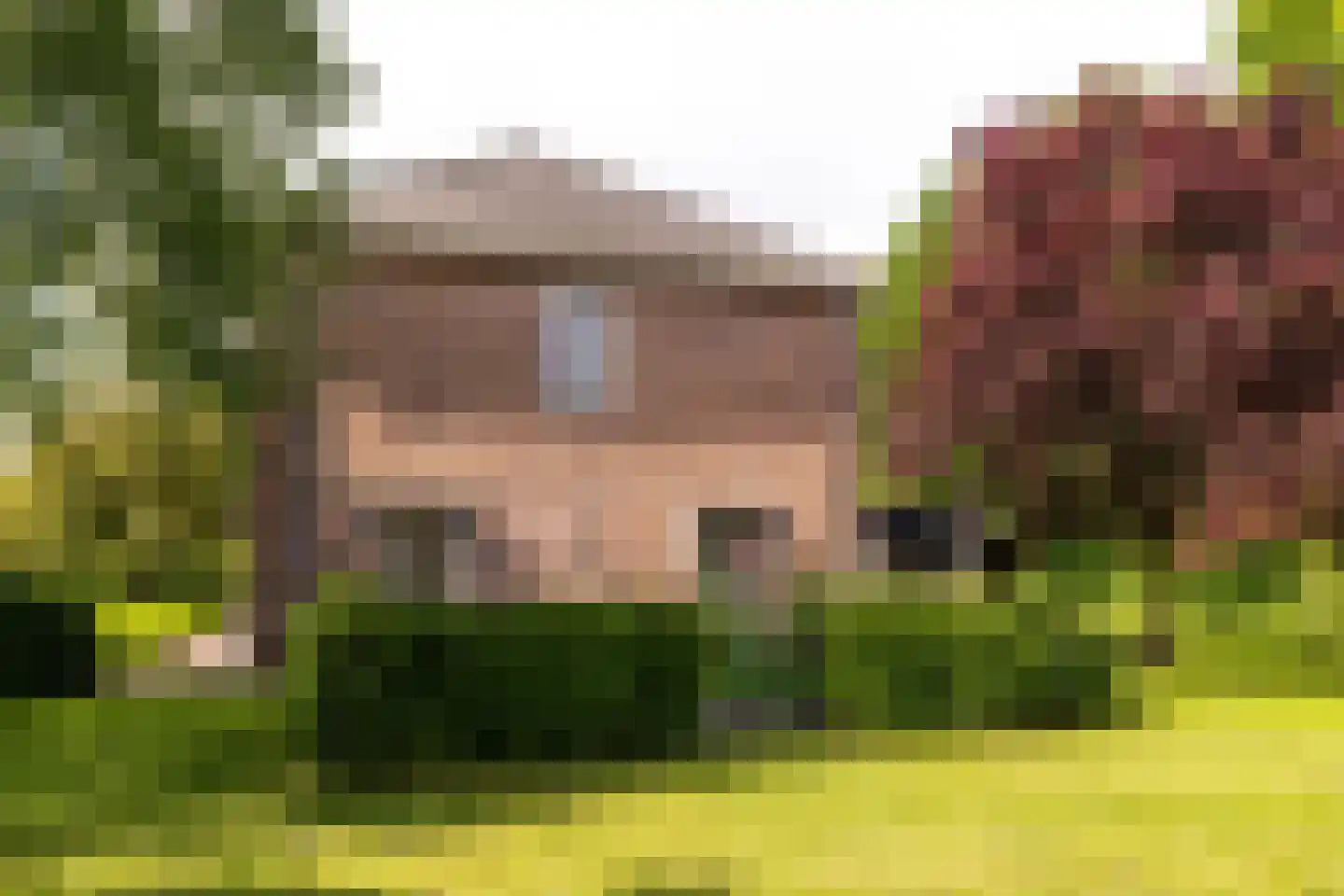 Hertenlaar 3 Bavel thumbnail 59
