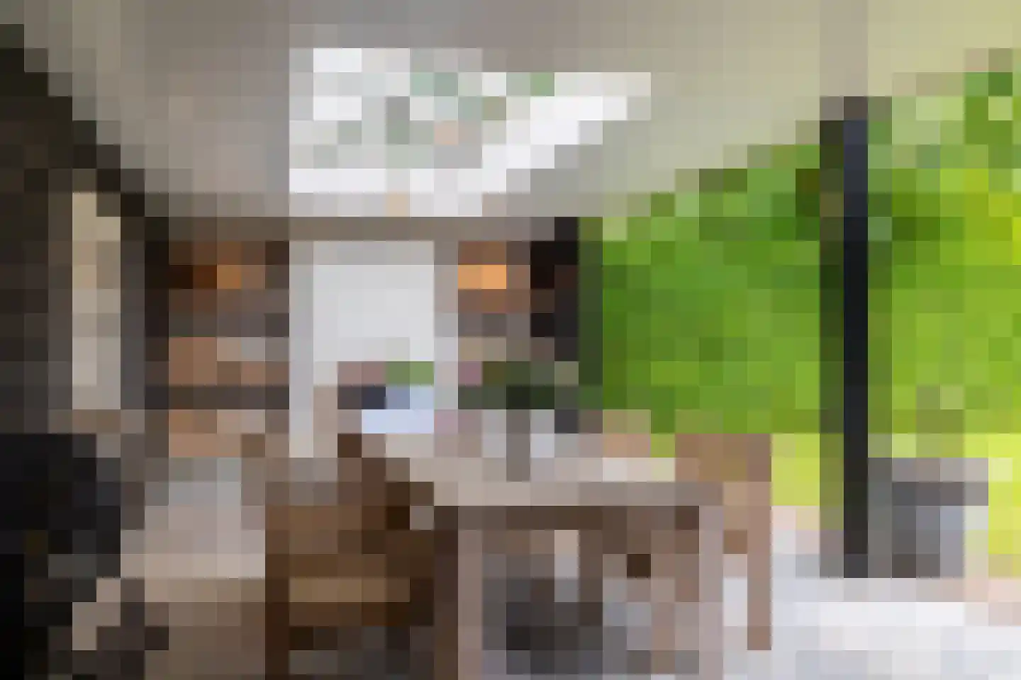 Hertenlaar 3 Bavel thumbnail 6