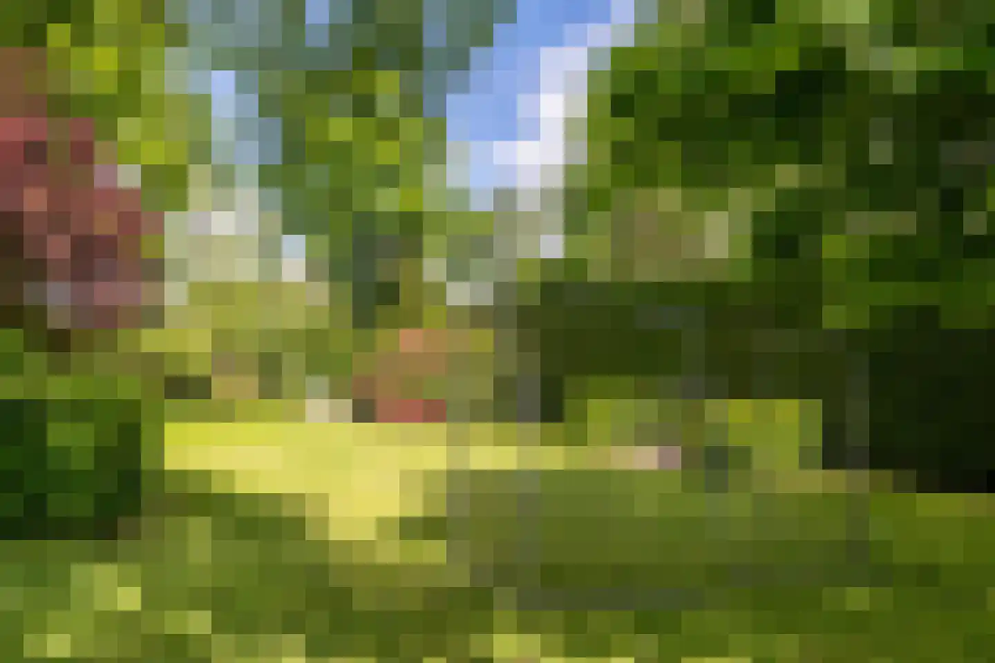 Hertenlaar 3 Bavel thumbnail 60