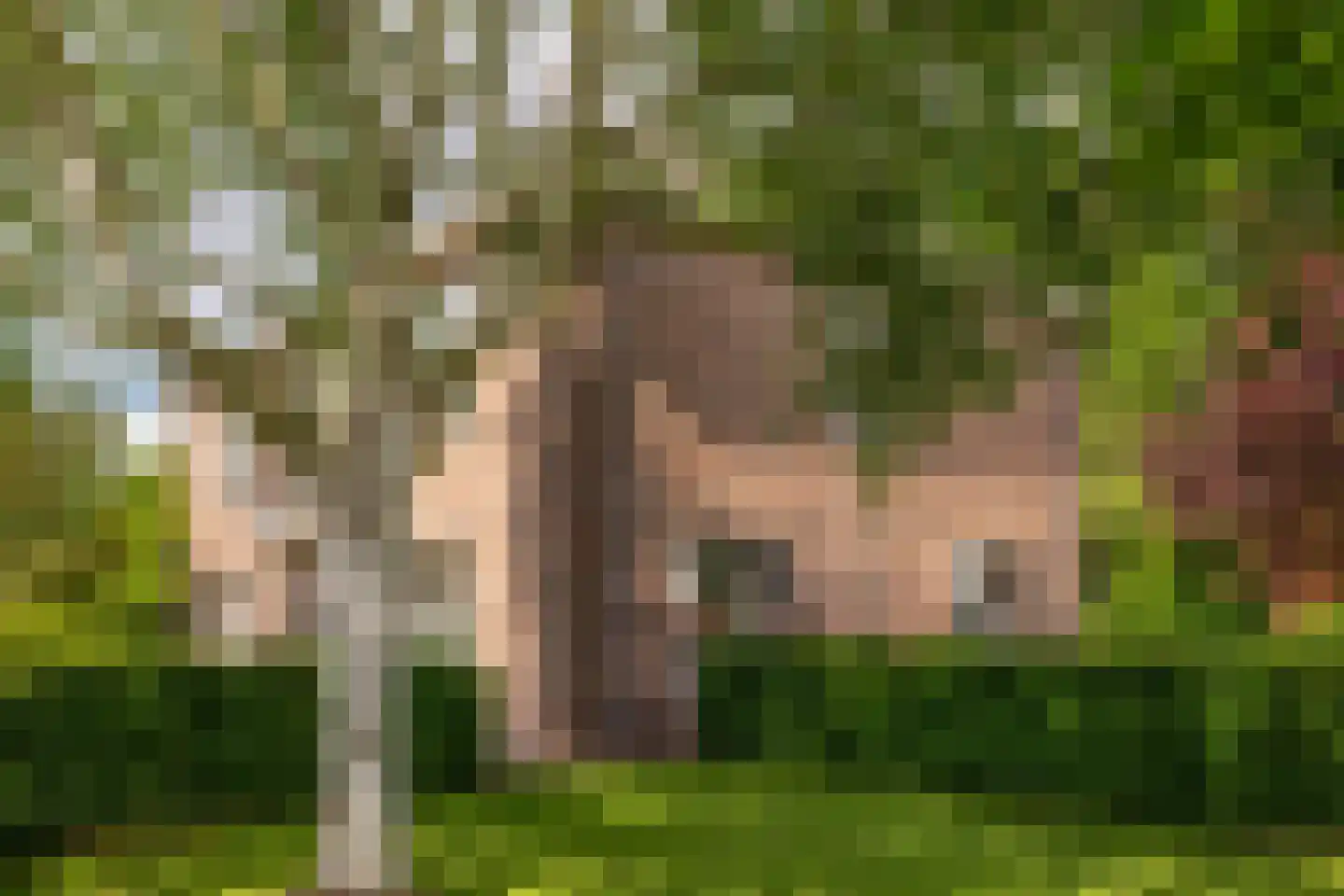 Hertenlaar 3 Bavel thumbnail 61
