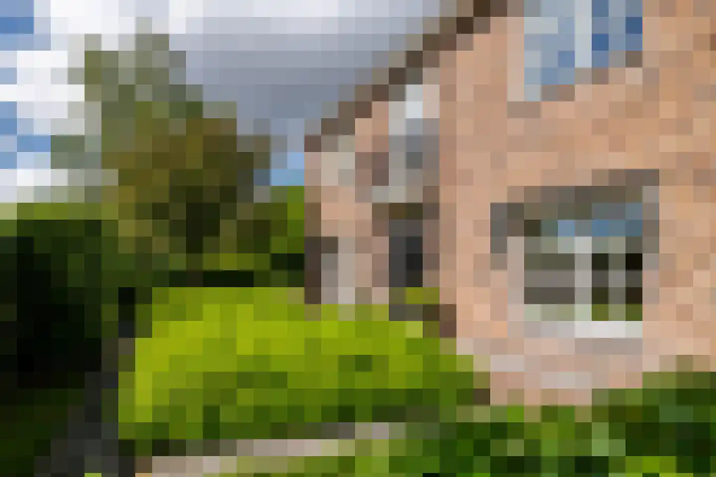Hertenlaar 3 Bavel thumbnail 62