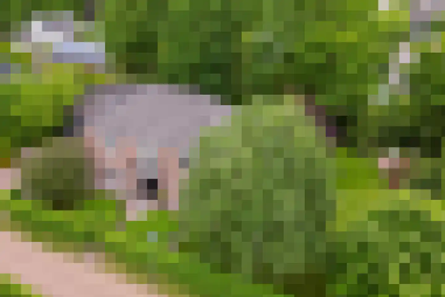Hertenlaar 3 Bavel thumbnail 67