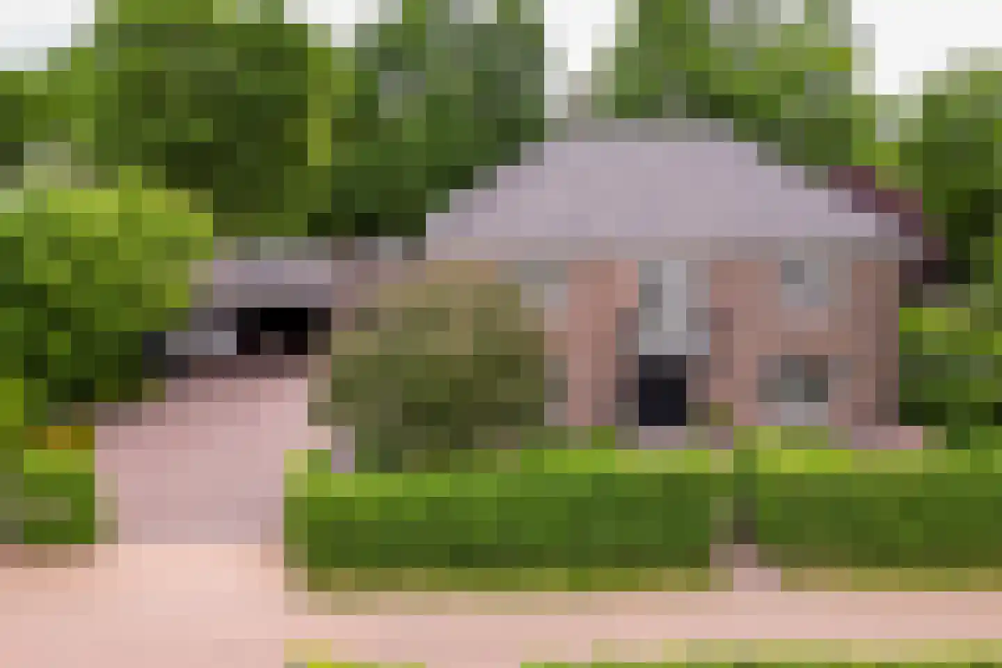 Hertenlaar 3 Bavel thumbnail 68