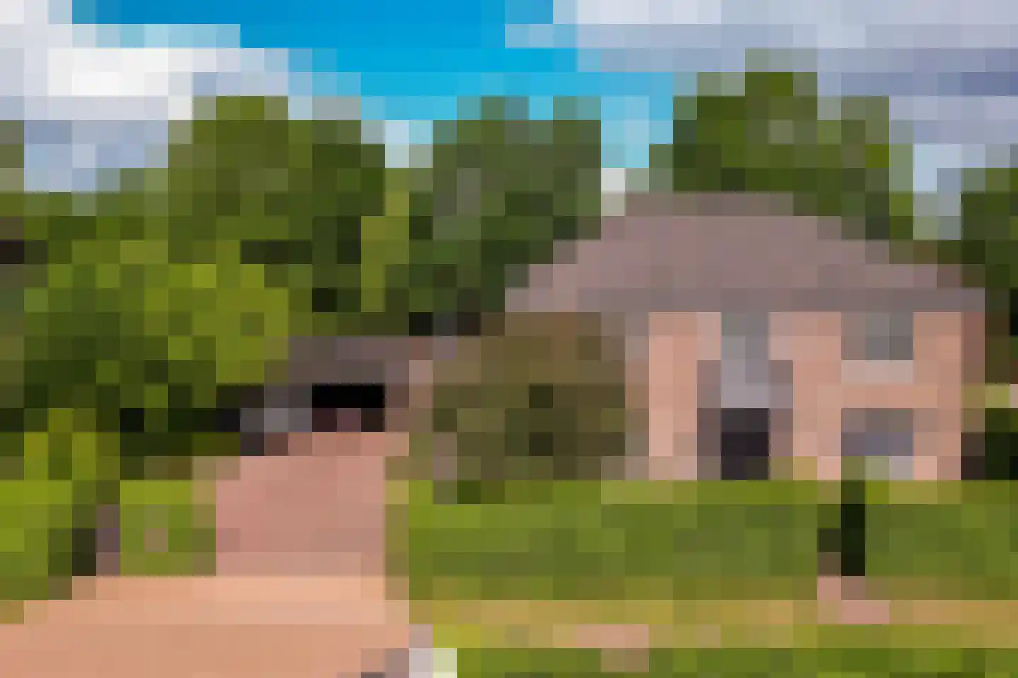 Hertenlaar 3 Bavel thumbnail 70