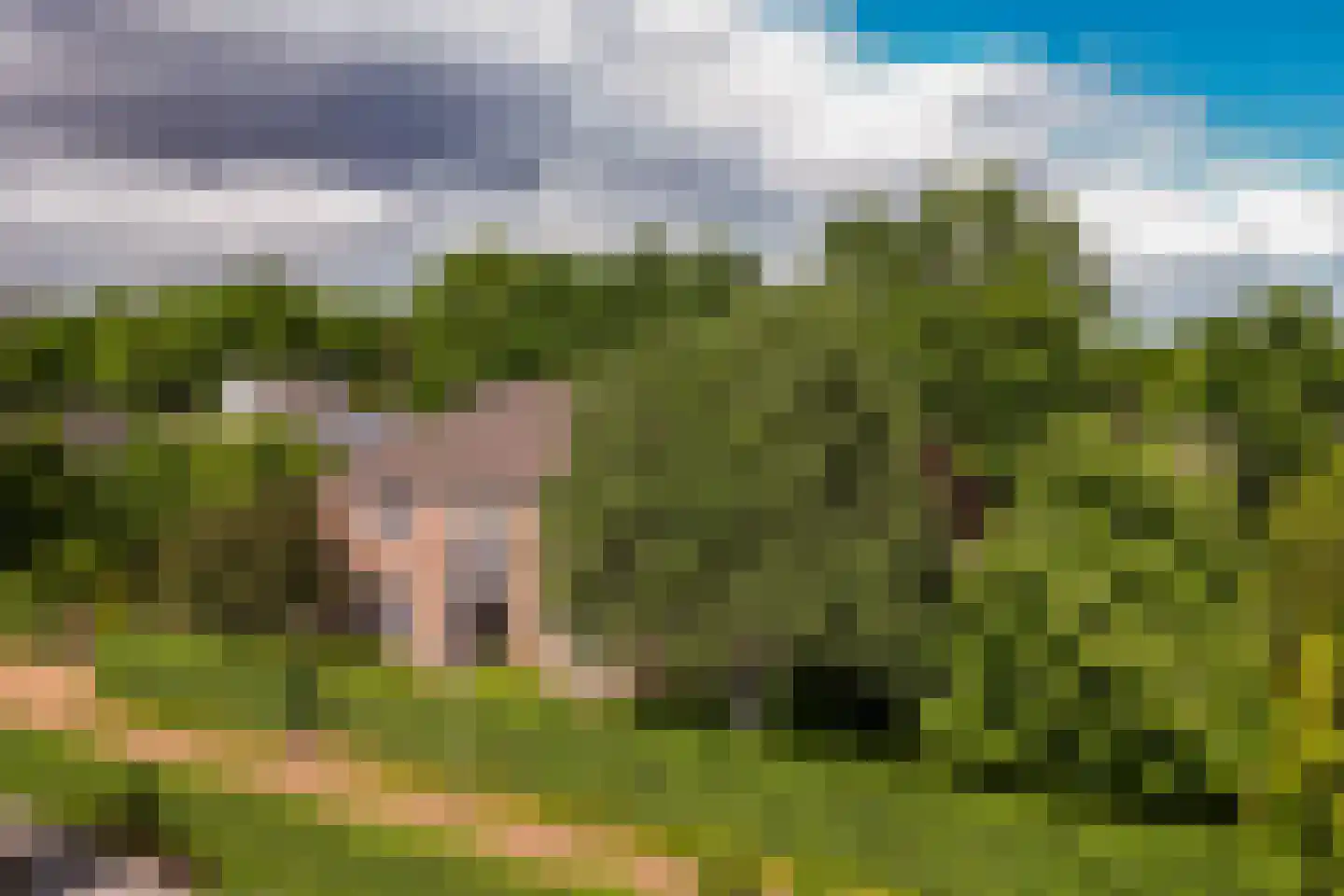 Hertenlaar 3 Bavel thumbnail 72