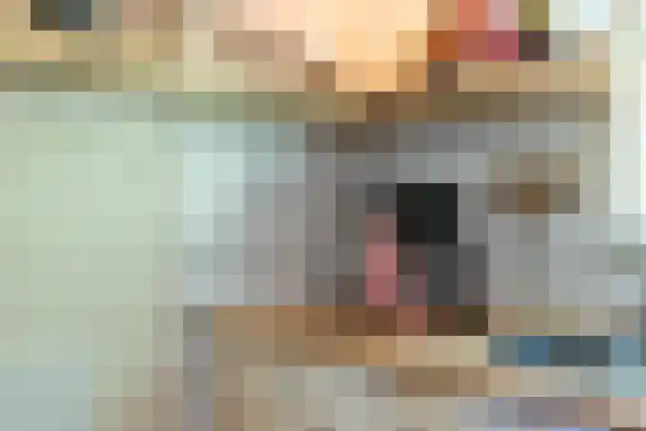 Hertenpad 14 Norg thumbnail 15