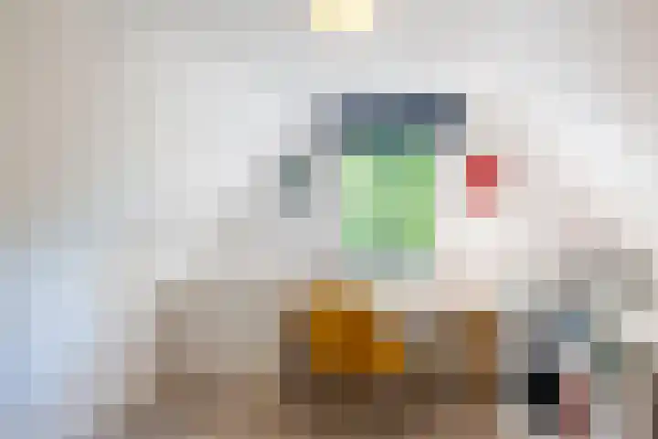 Hertenpad 14 Norg thumbnail 24