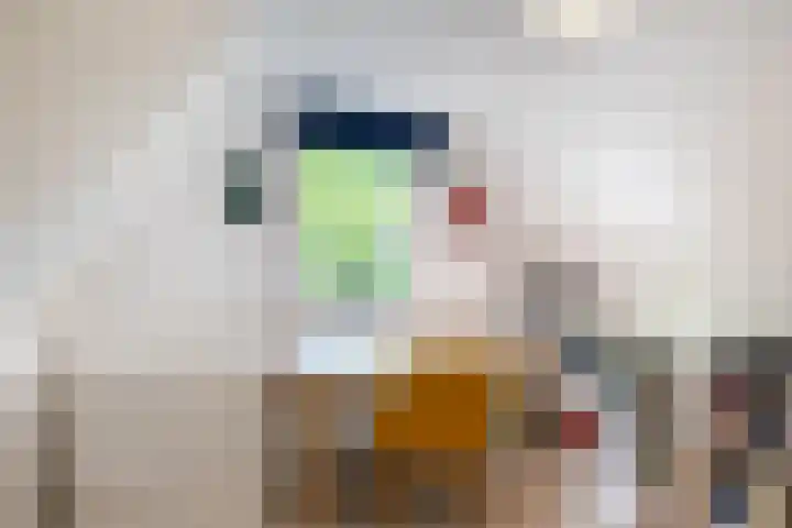 Hertenpad 14 Norg thumbnail 26
