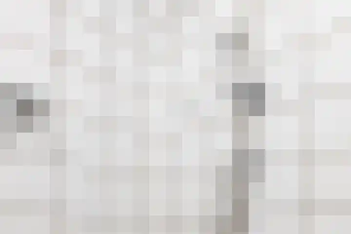 Hertenpad 14 Norg thumbnail 27