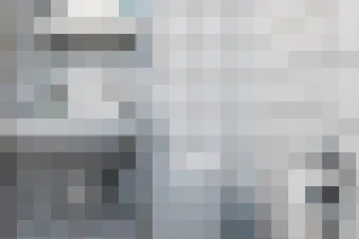 Hertenpad 14 Norg thumbnail 28