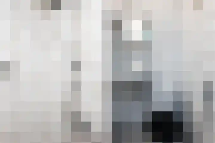 Hertenpad 14 Norg thumbnail 29