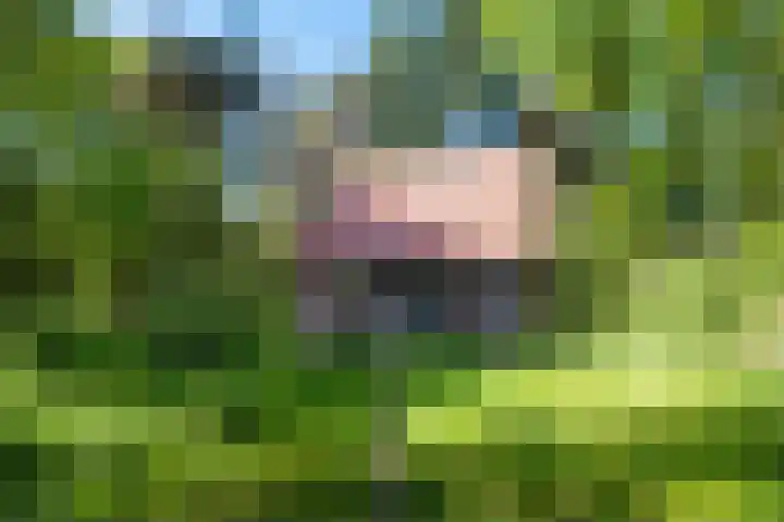 Hertenpad 14 Norg foto 3
