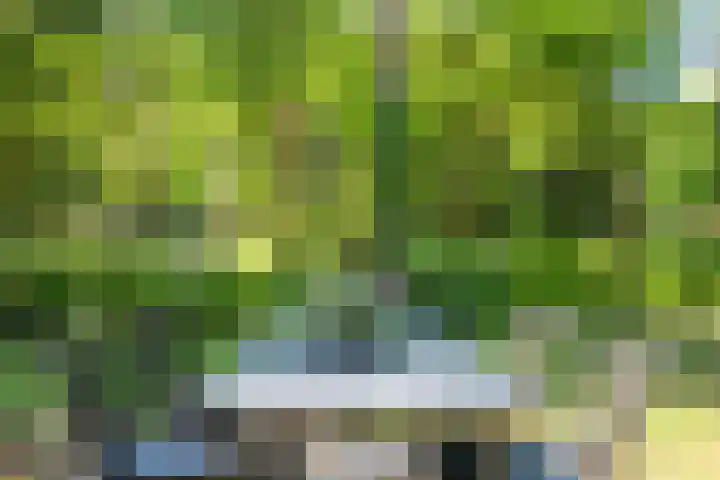 Hertenpad 14 Norg thumbnail 34
