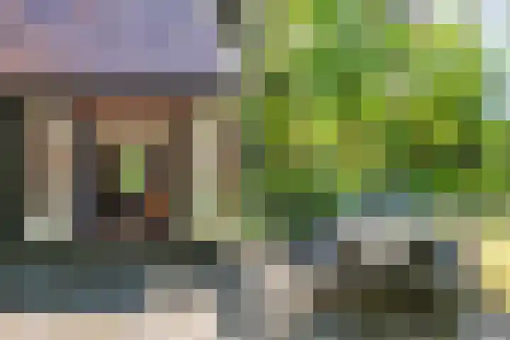 Hertenpad 14 Norg thumbnail 35