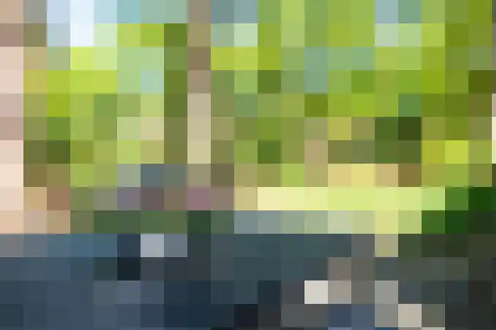 Hertenpad 14 Norg thumbnail 37