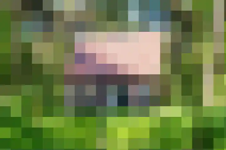Hertenpad 14 Norg thumbnail 4