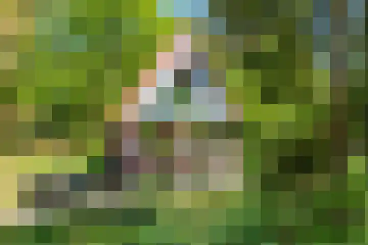 Hertenpad 14 Norg thumbnail 41