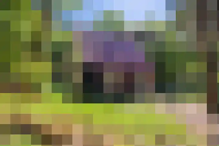 Hertenpad 14 Norg thumbnail 42