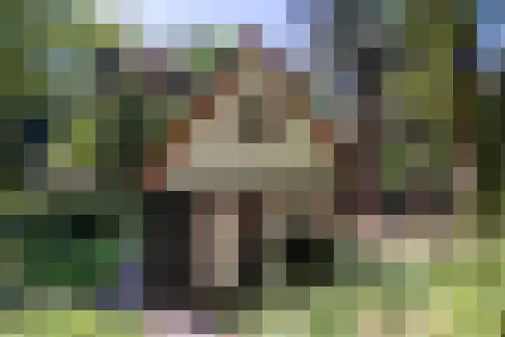 Hertenpad 14 Norg thumbnail 43