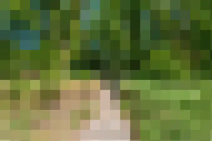 Hertenpad 14 Norg thumbnail 44