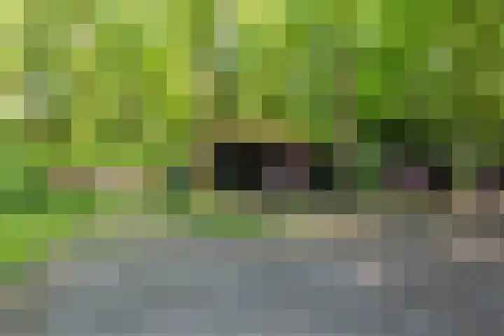 Hertenpad 14 Norg thumbnail 48