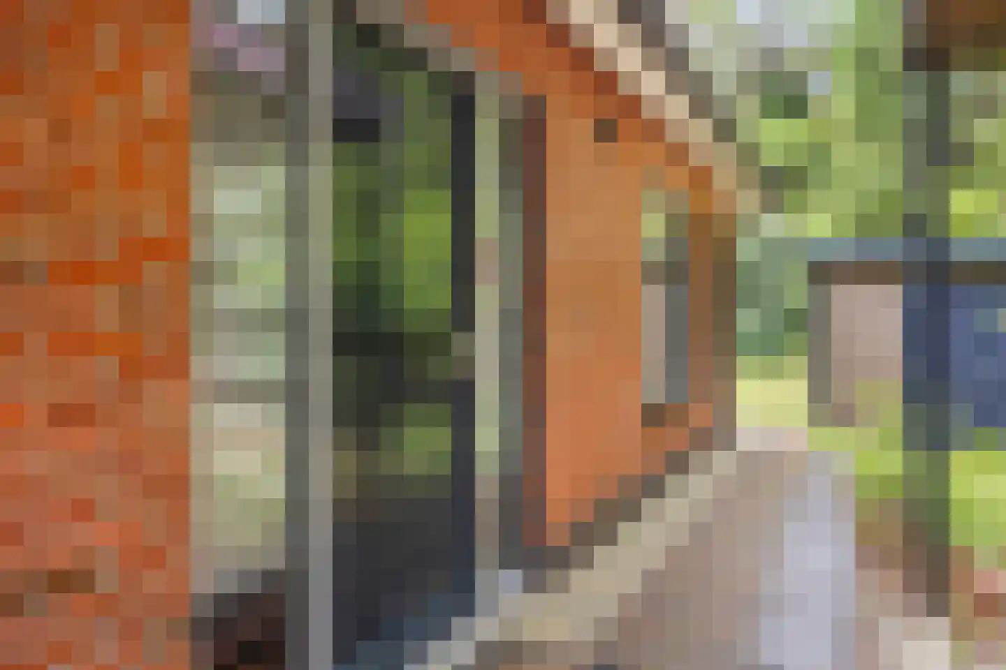 Hertenpad 6 Norg thumbnail 10