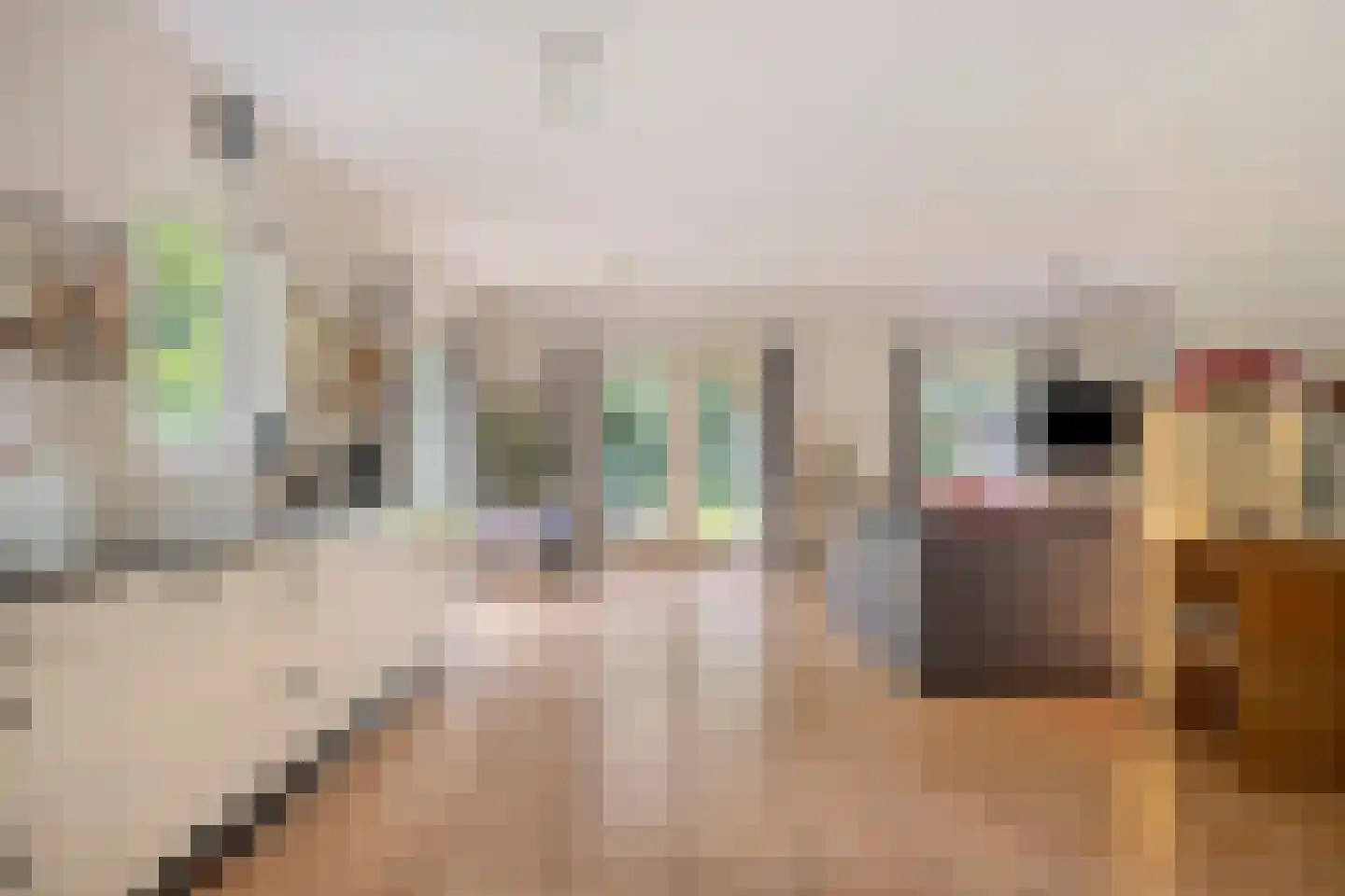 Hertenpad 6 Norg thumbnail 12