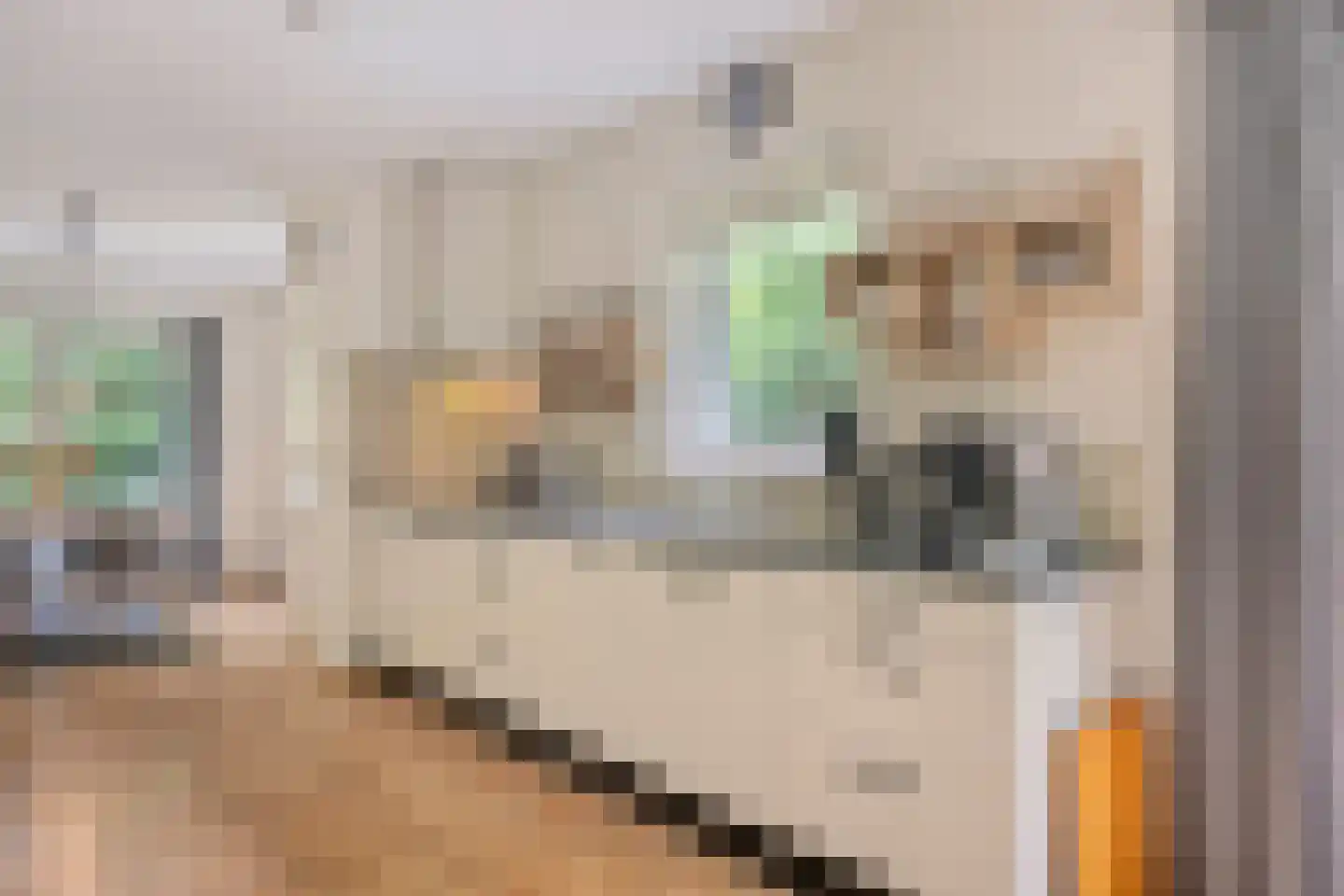Hertenpad 6 Norg thumbnail 17