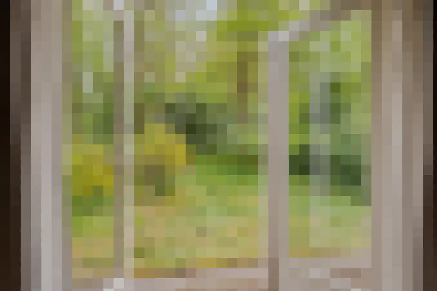 Hertenpad 6 Norg thumbnail 20