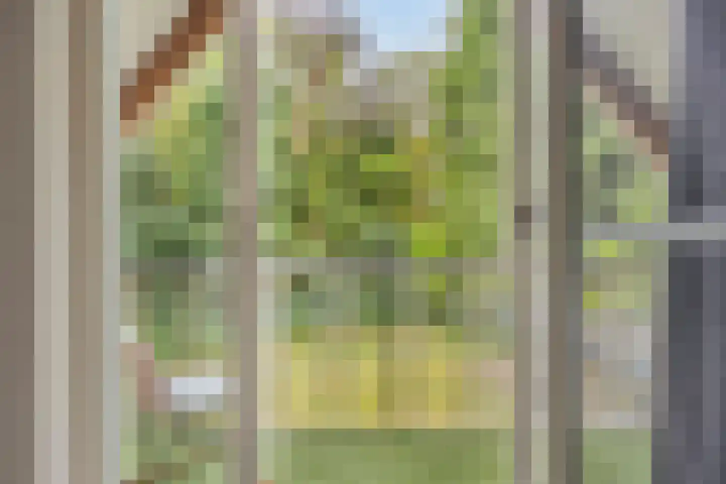 Hertenpad 6 Norg thumbnail 24