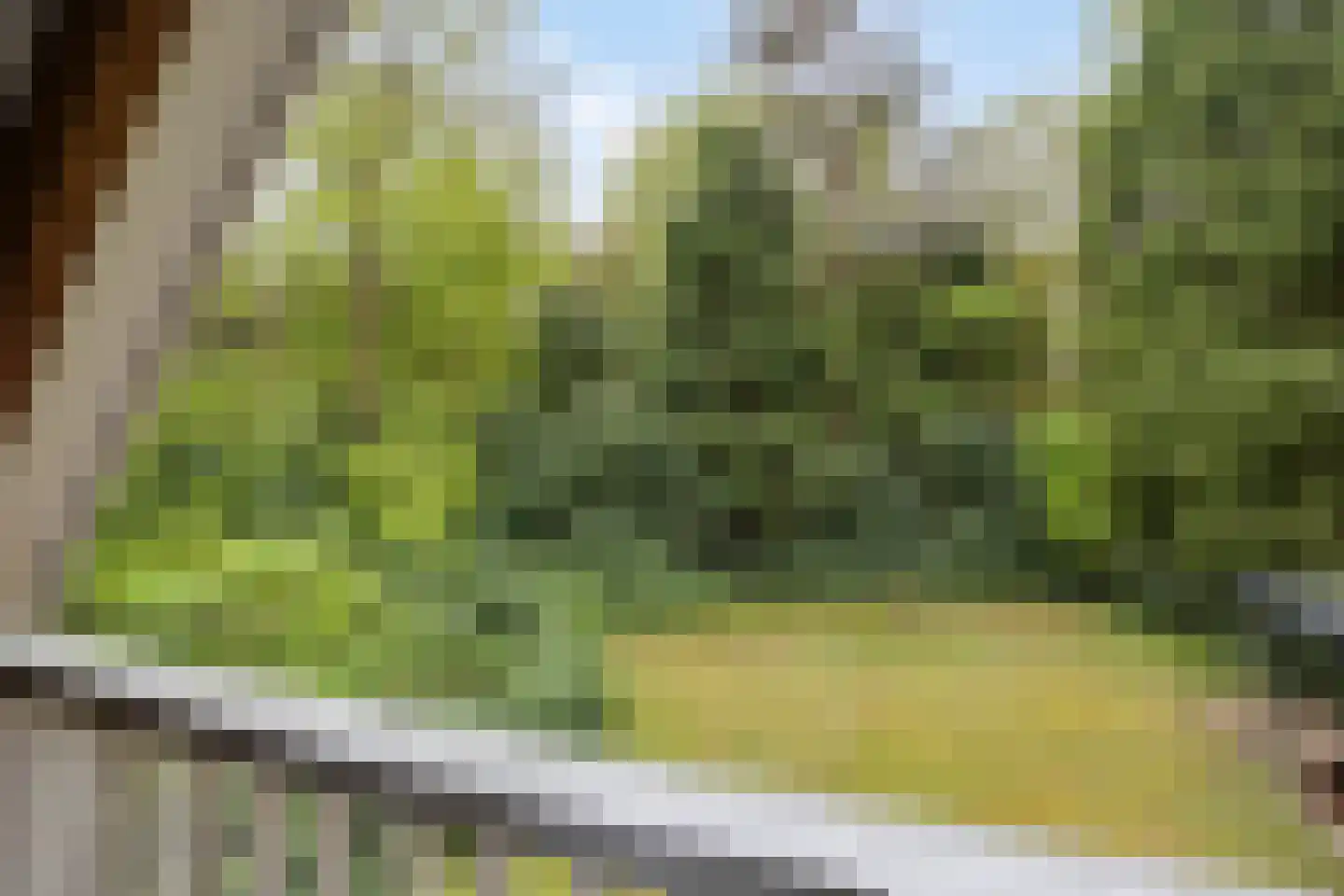 Hertenpad 6 Norg thumbnail 25