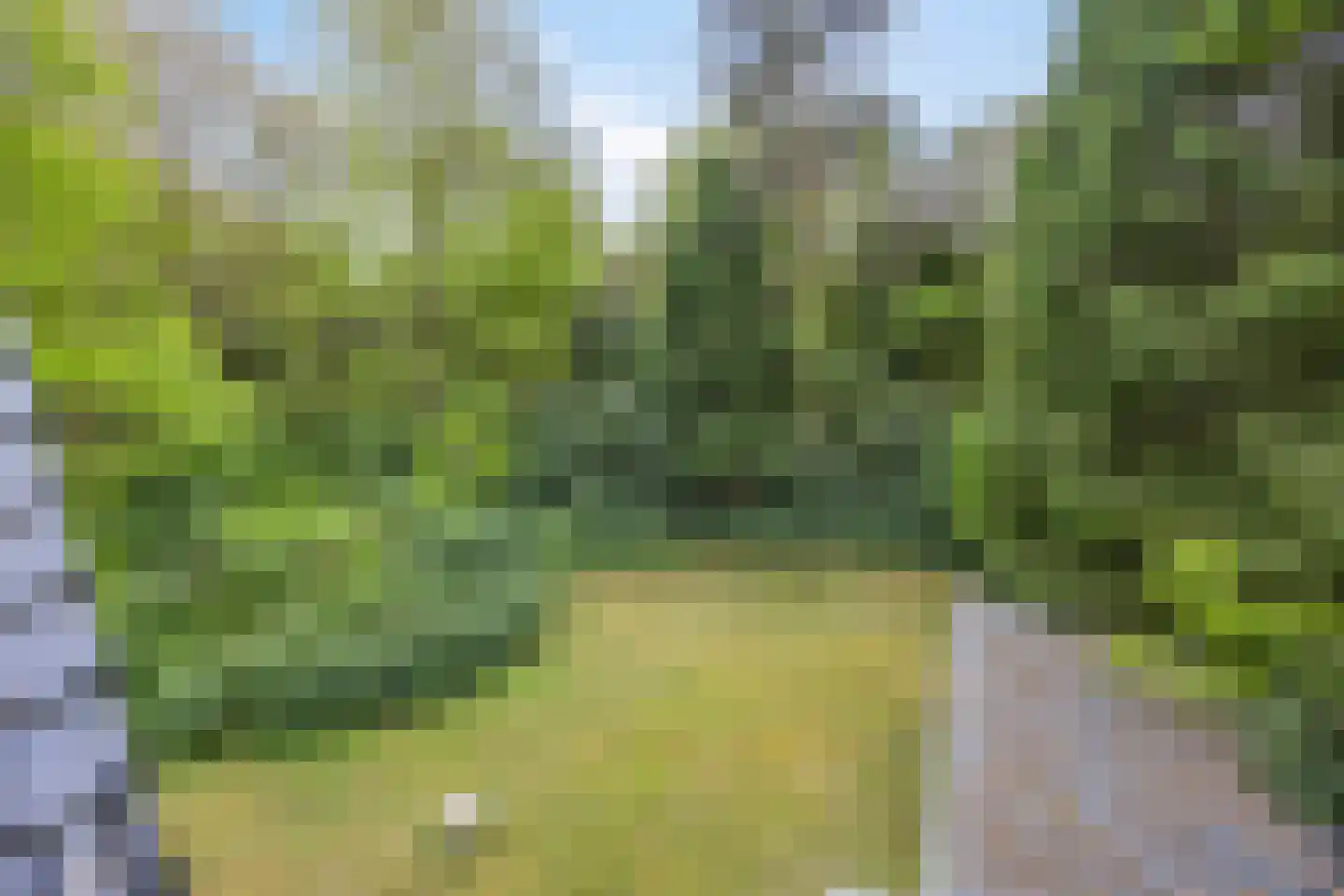Hertenpad 6 Norg thumbnail 37