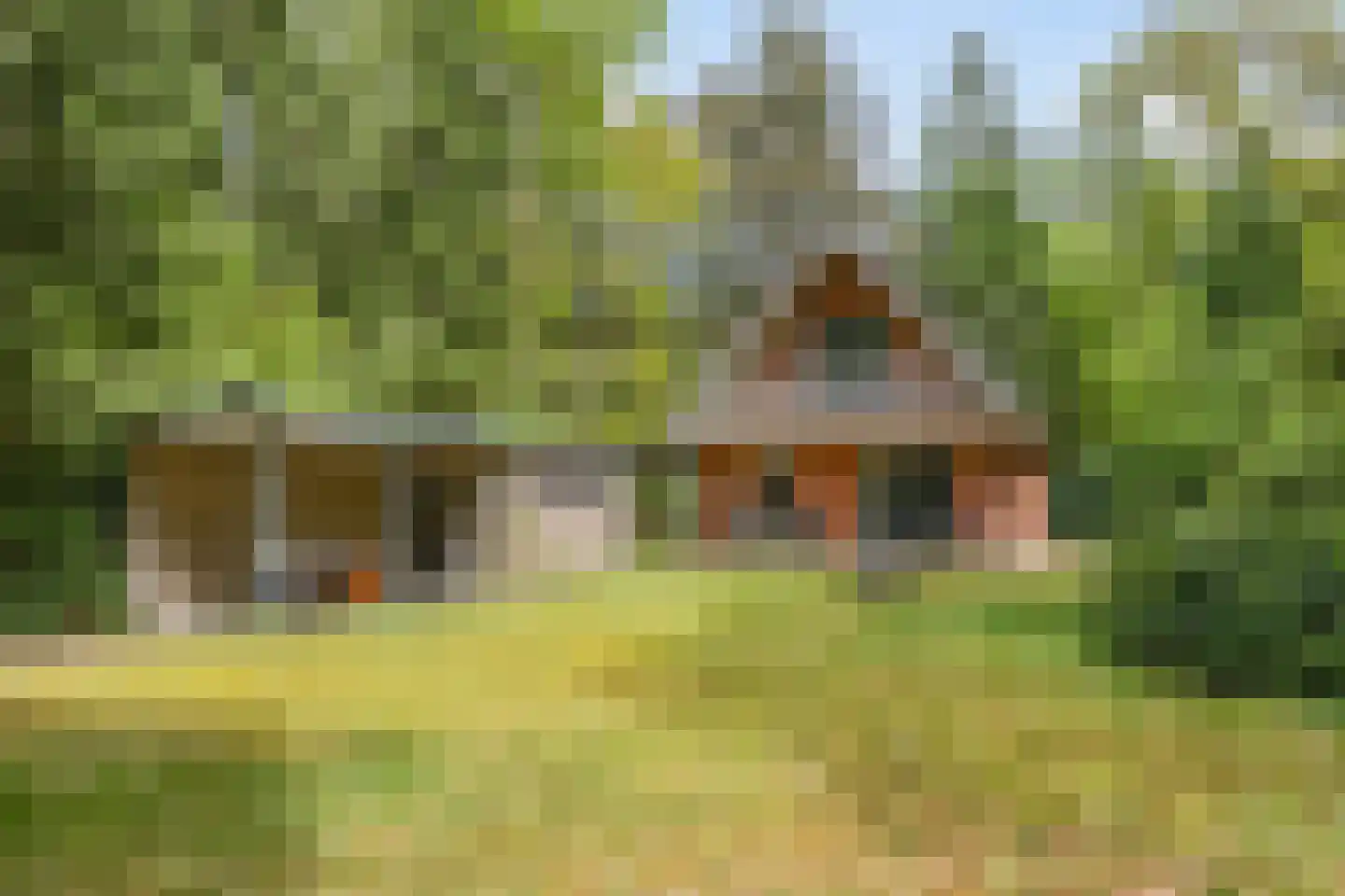 Hertenpad 6 Norg thumbnail 39
