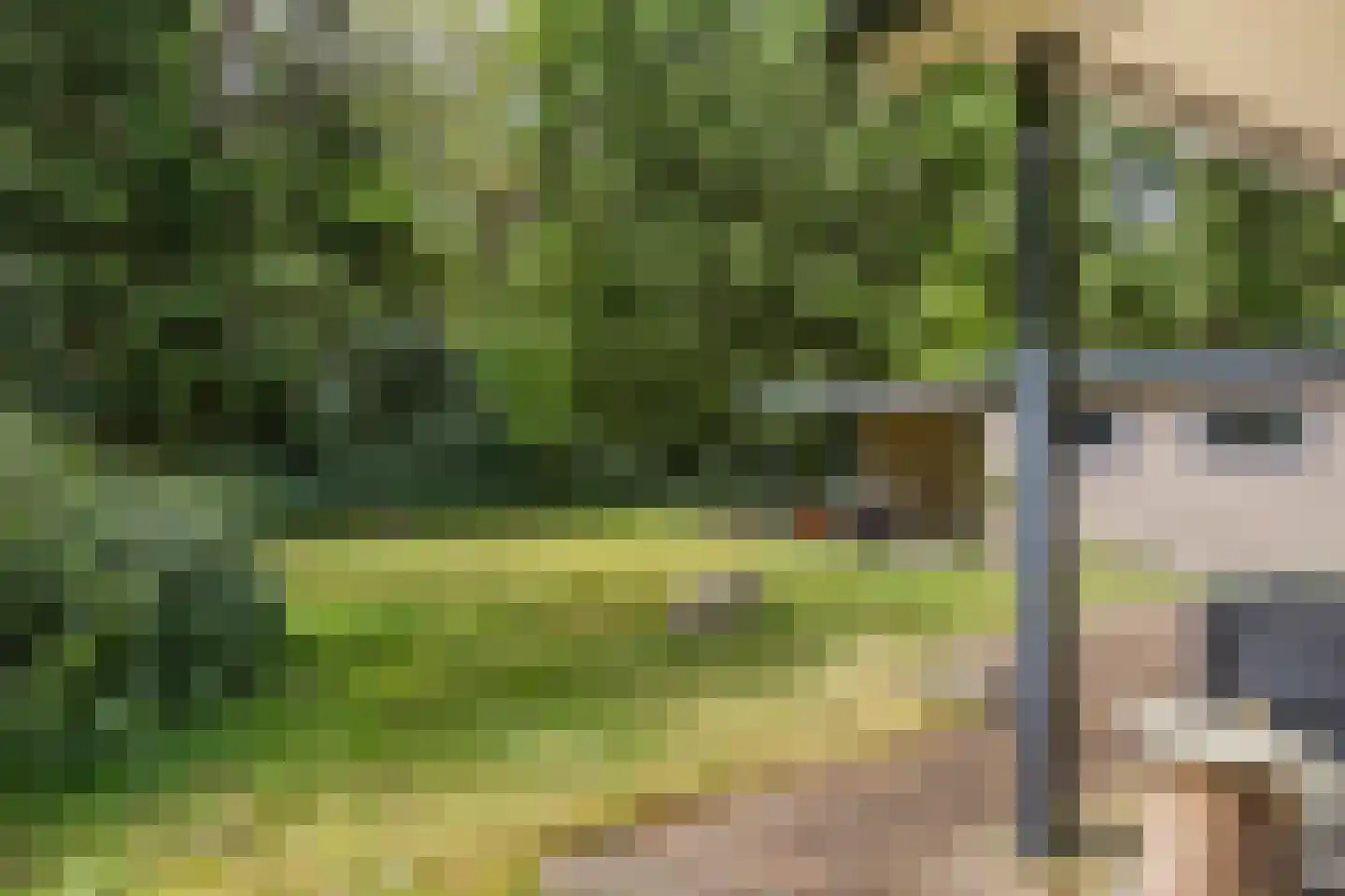 Hertenpad 6 Norg thumbnail 41